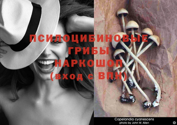 марки nbome Алексин