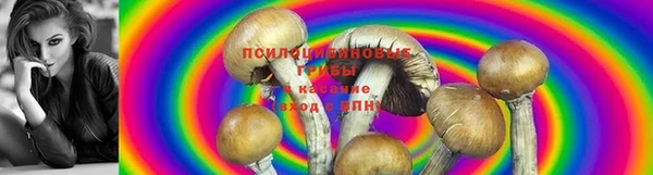 наркотики Алзамай