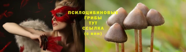 марки nbome Алексин