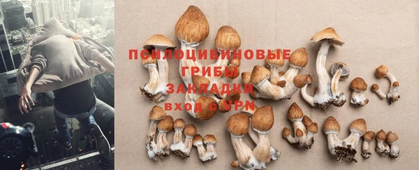 индика Алексеевка