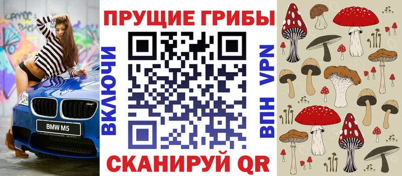 OMG вход наркотики Наволоки Галлюциногенные грибы MAGIC MUSHROOMS